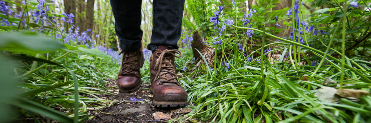 Outdoor activities in the Forest of Dean & Wye Valley