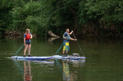 Top Things to Do in the Forest of Dean, explore nature's wonderland